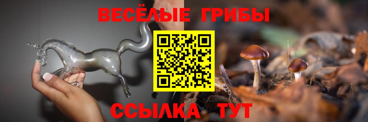 Галлюциногенные грибы прущие грибы Чусовой